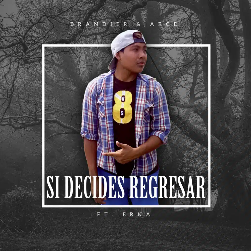 Si Decides Regresar (feat. Arce & Erna)