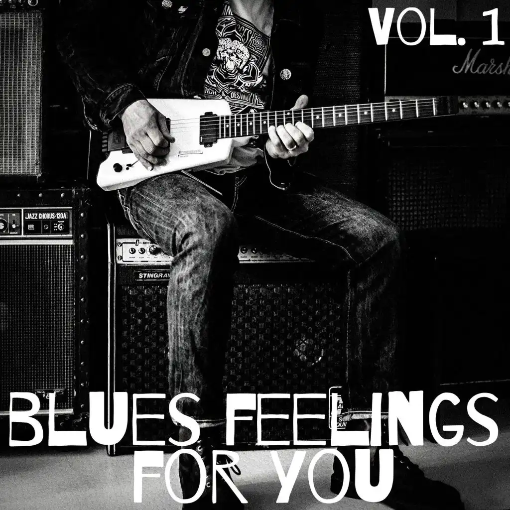 Blues Feelings for You Vol.1