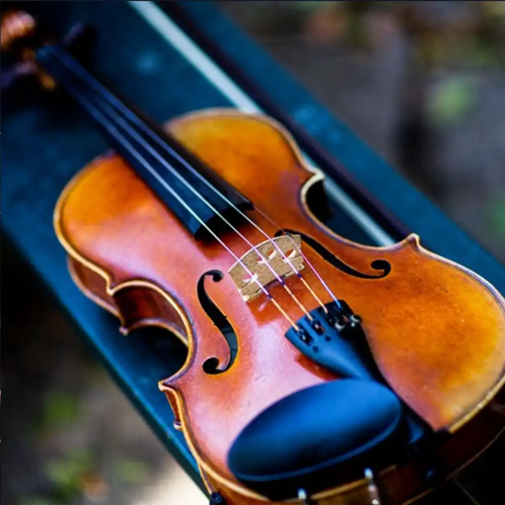 Soul of Violin