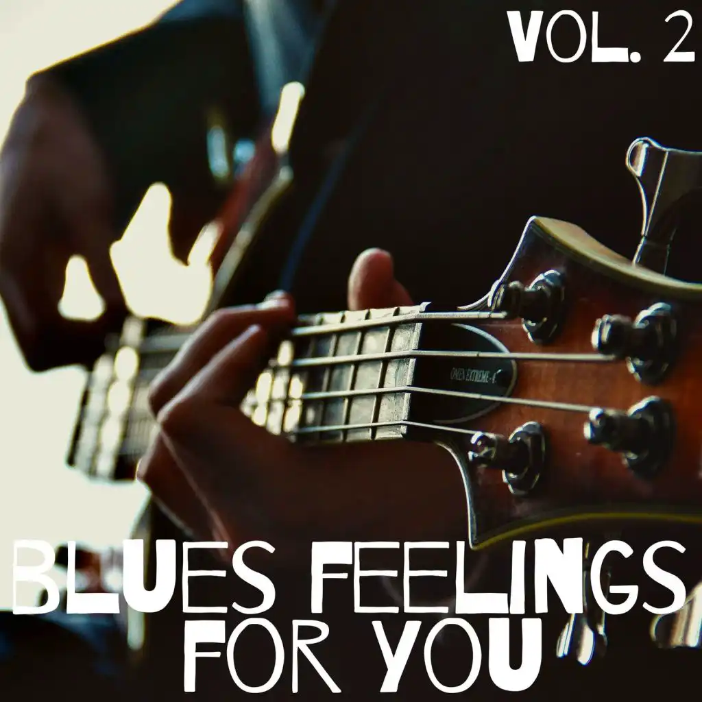 Blues Feeling for You Vol. 2