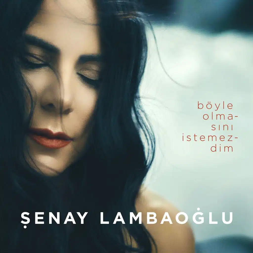 Böyle Olmasını İstemezdim