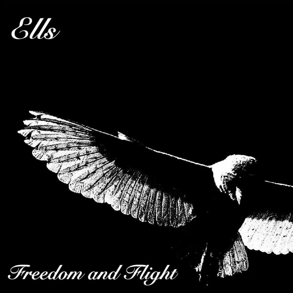 Freedom and Flight
