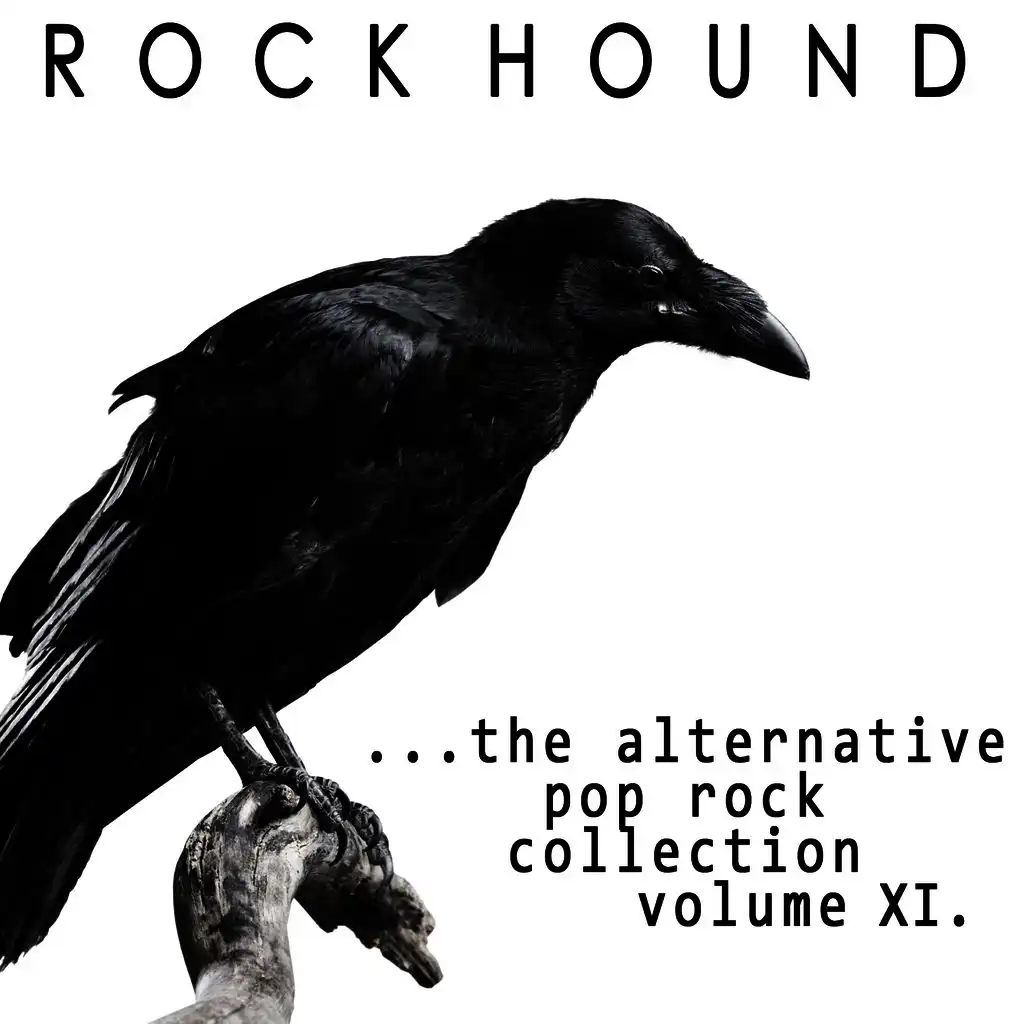 Rock Hound: Alternative Pop Rock, Vol. 11