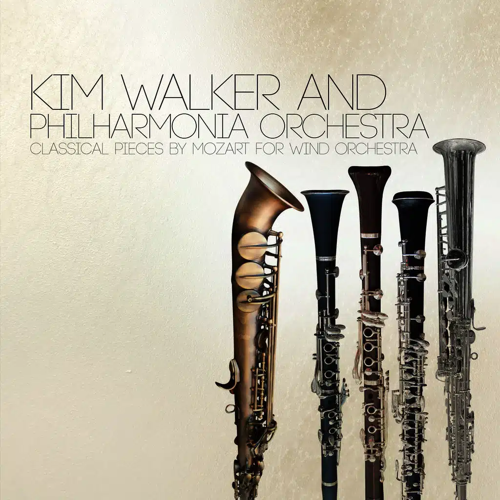 Bassoon Concerto in B-Flat Major, K. 191: Andante ma adagio