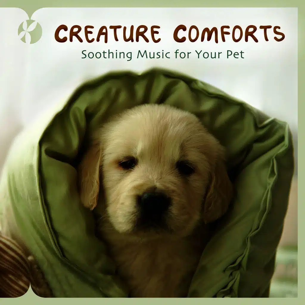 Creature Comforts