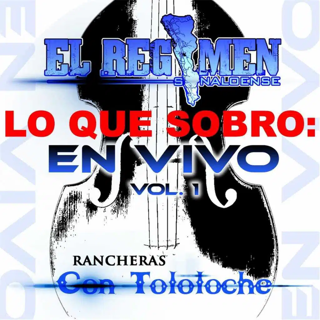 Lo Que Sobro: En Vivo Rancheras Con Tololoche, Vol.1