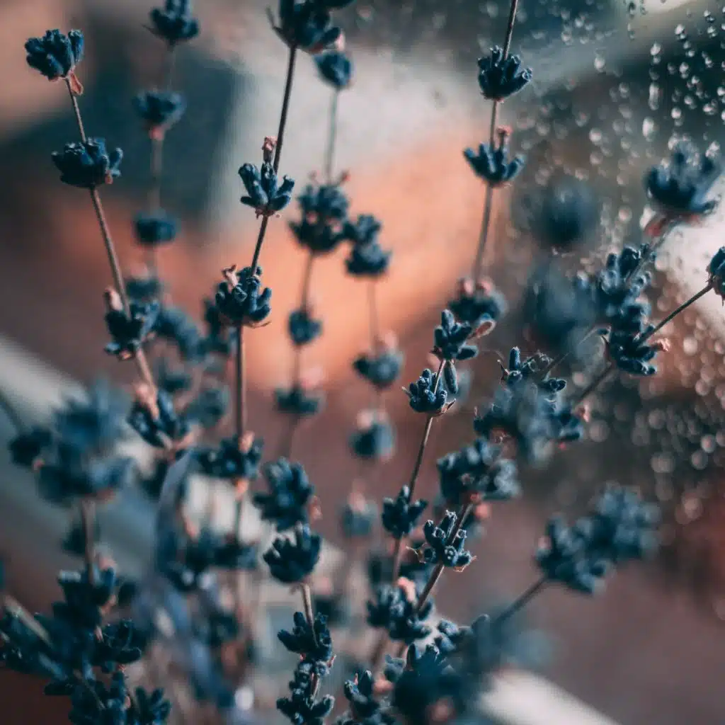 Miracle Noise Reliefs for Insomnia Children – Recovery Noise Pack