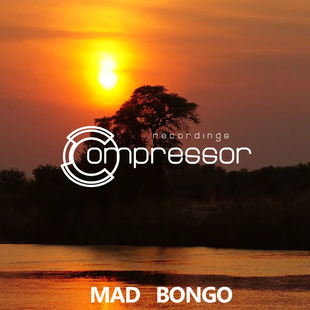 Mad Bongo (Dub Mix)