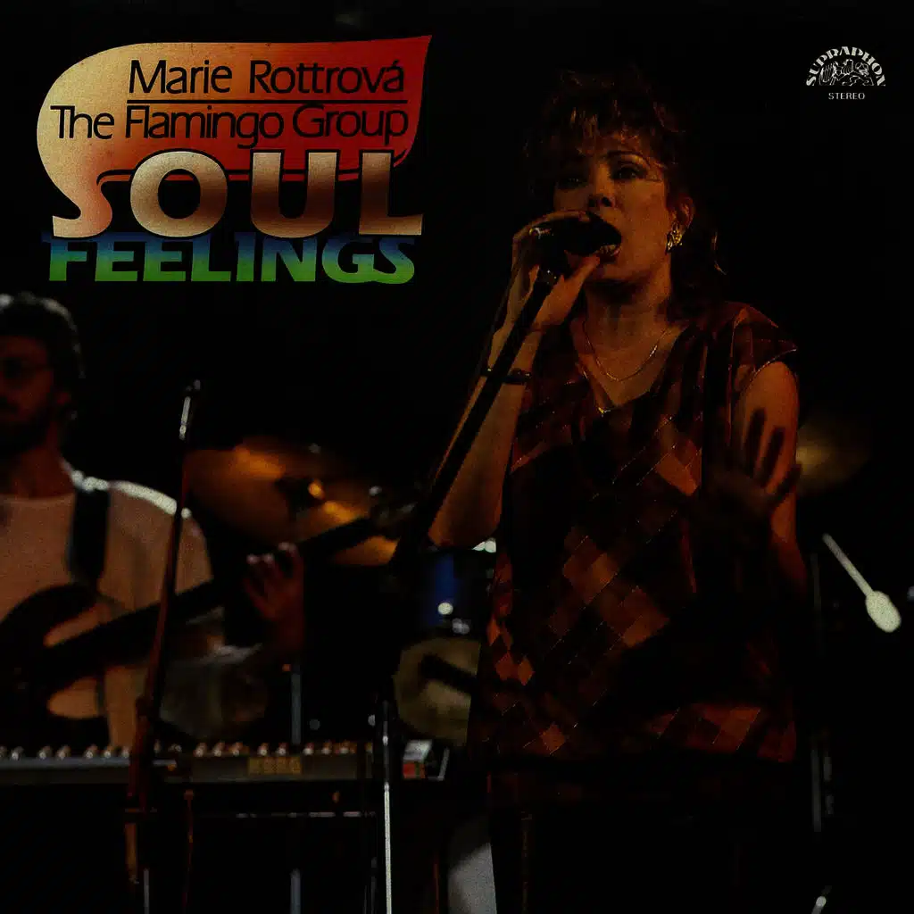 Blame It On The Boogie