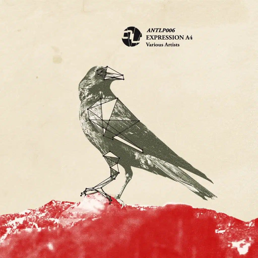 Looking for the Rave