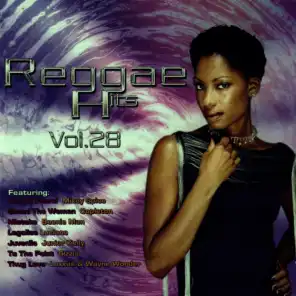 Reggae Hits Vol. 28