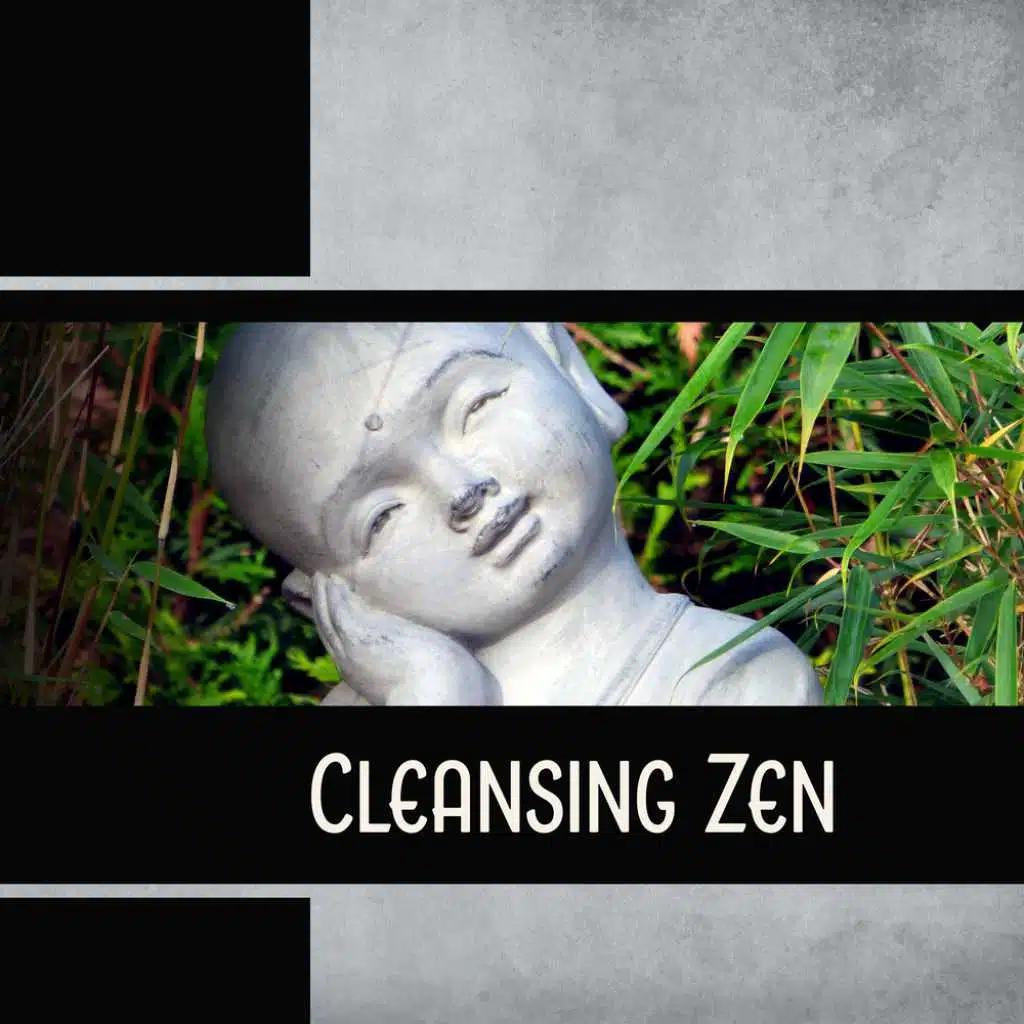 Cleansing Zen