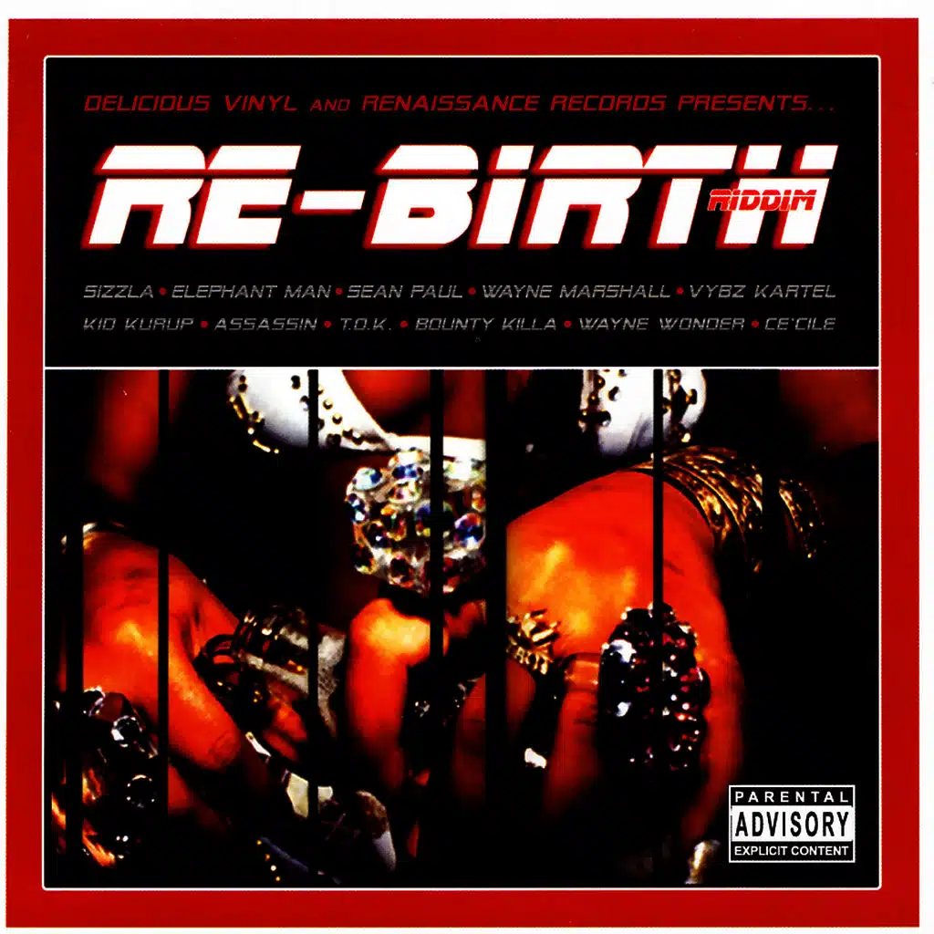 Re-Birth Riddim