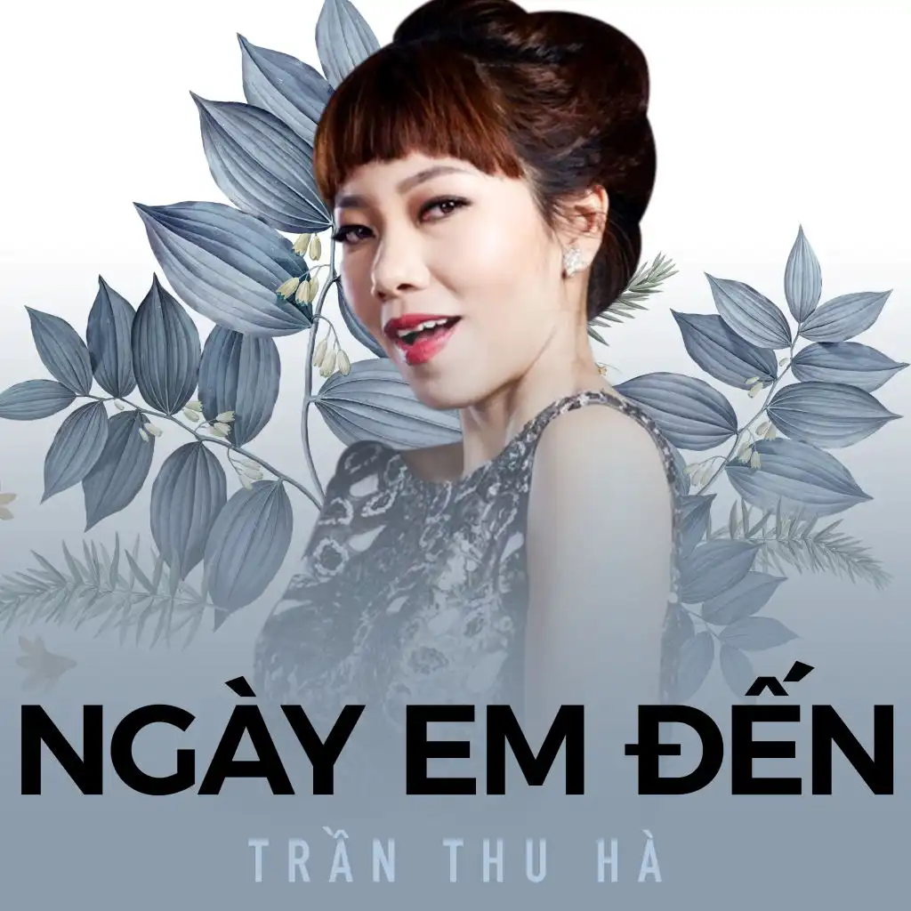 Cuộc Tình Đêm