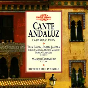Cante Andaluz - Flamenco Song Recorded Live in Seville