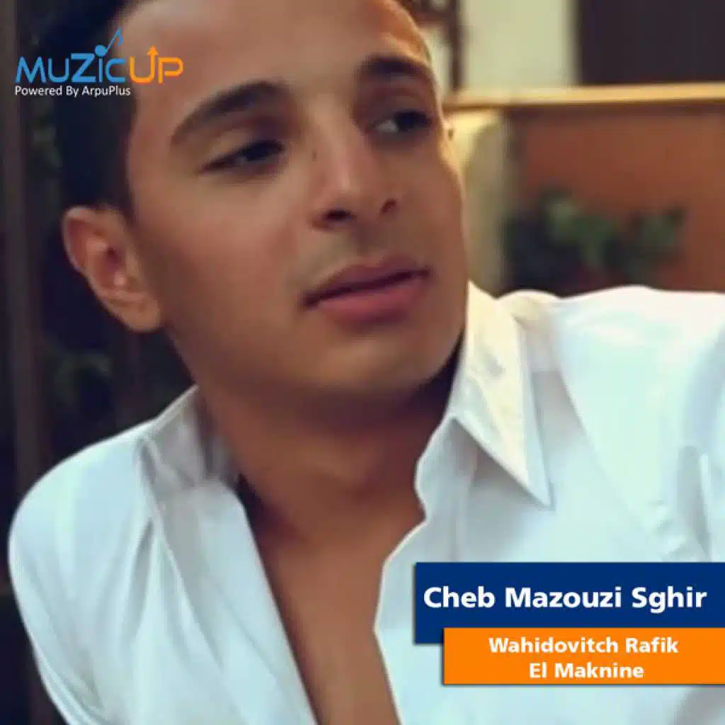 وحيدوفيتش رفيق المكنين