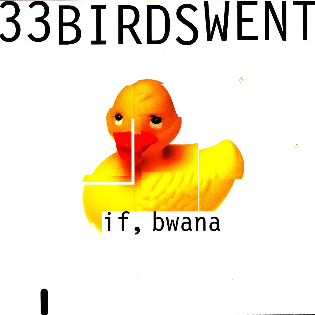 33 Birds Went