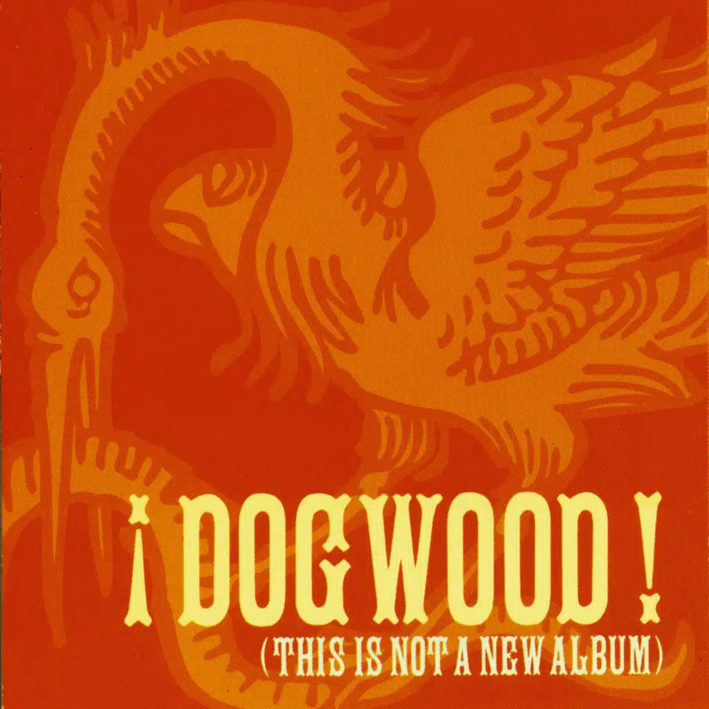 This Is Not A New Album