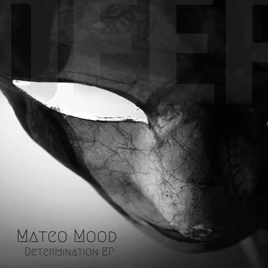 Mateo Mood