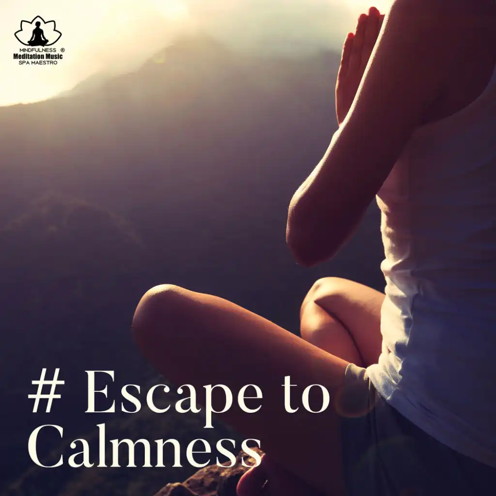 # Escape to Calmness