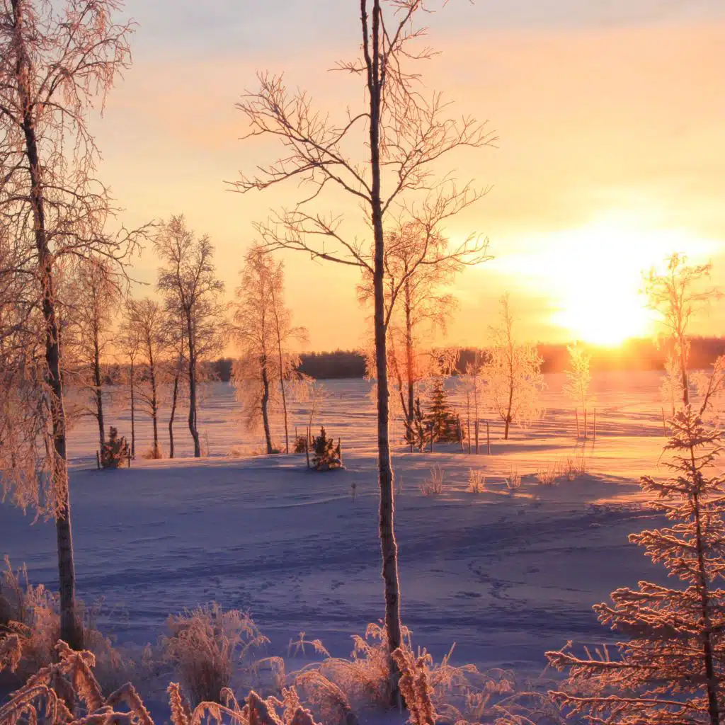 Sweet Dreams Are Real Thanks To Lullabies