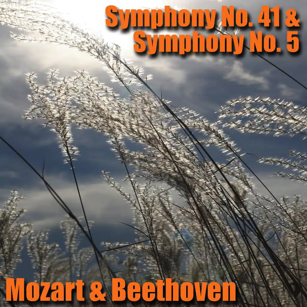 Symphony No. 41 in C Major K, 551 'Jupiter' Allegro vivace