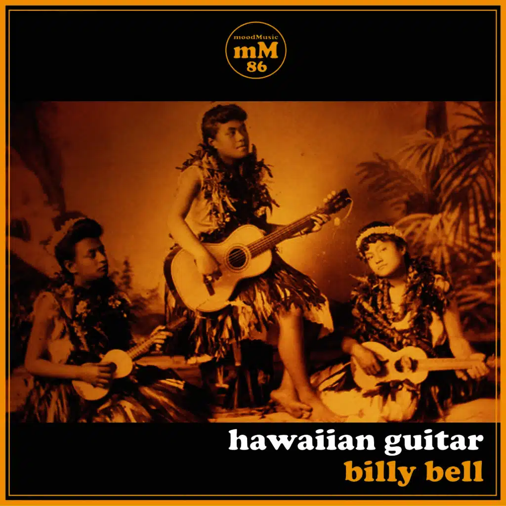Hawaiian Guitar