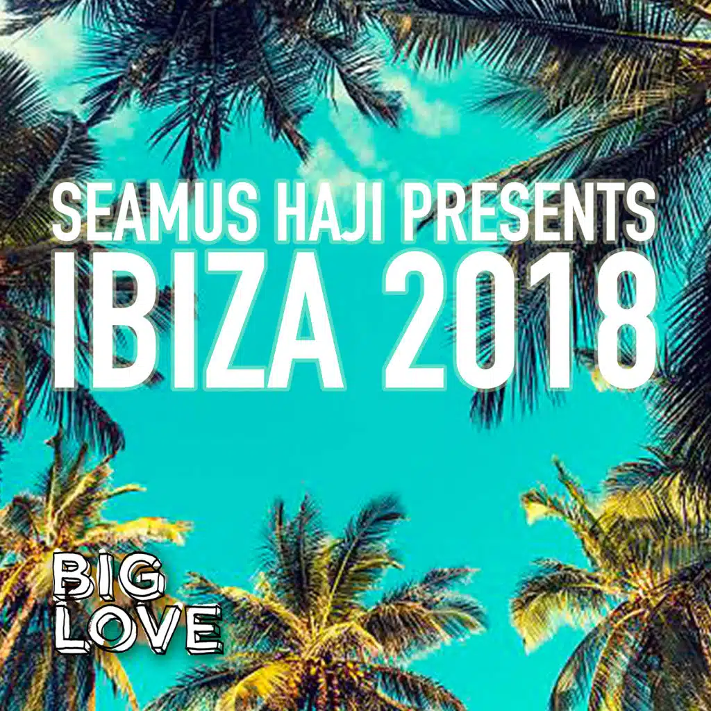 Pleasure Project (Seamus Haji Re-Loved Edit)