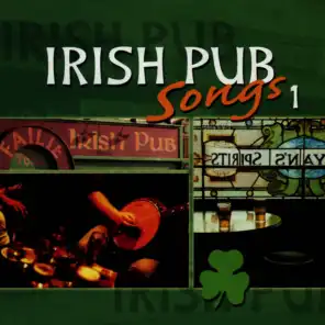 Irish Pub Songs, Vol. 1