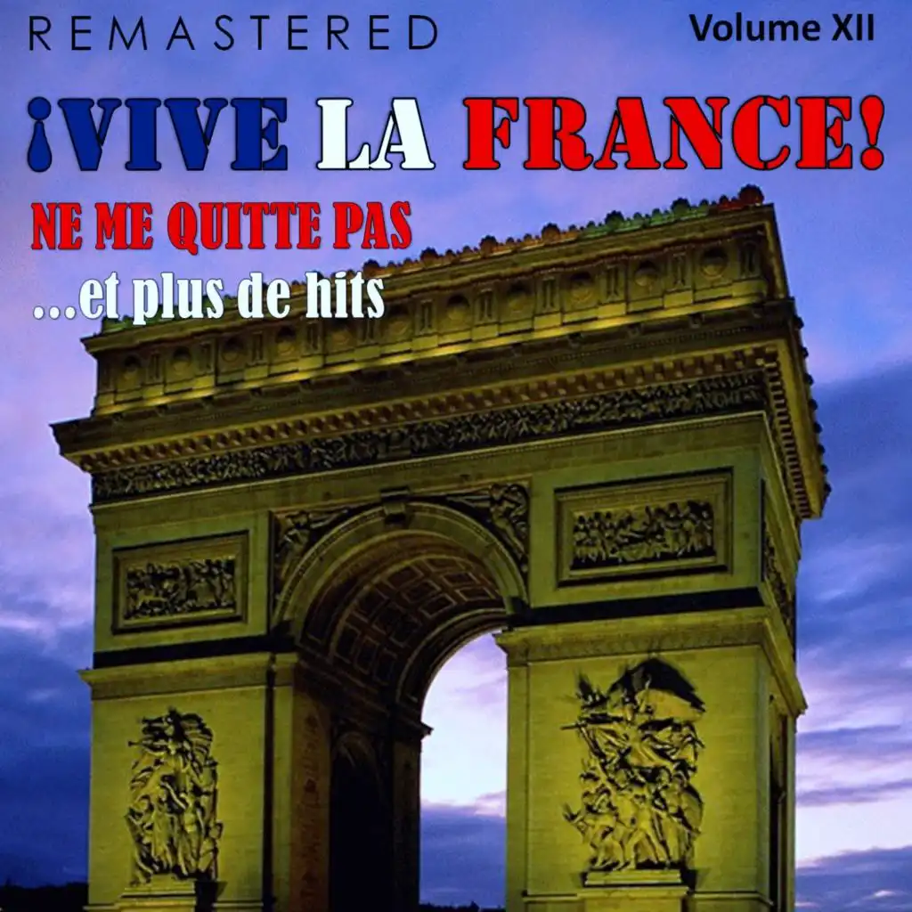¡Vive la France!, Vol. 12 - Ne me quitte pas... et plus de hits (Remastered)