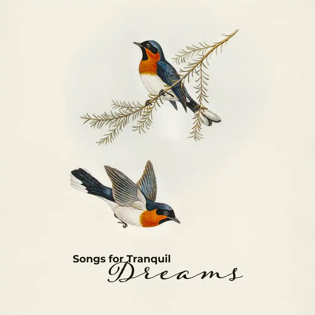 Songs for Tranquil Dreams: Calming Sounds of Nature Connected With Instrumental Soft Piano & Guitar Melodies, Stress Relief, Songs for Insomnia Cure, Deep Gentle Dreams, Peaceful New Age Music 2019, Rest & Relax