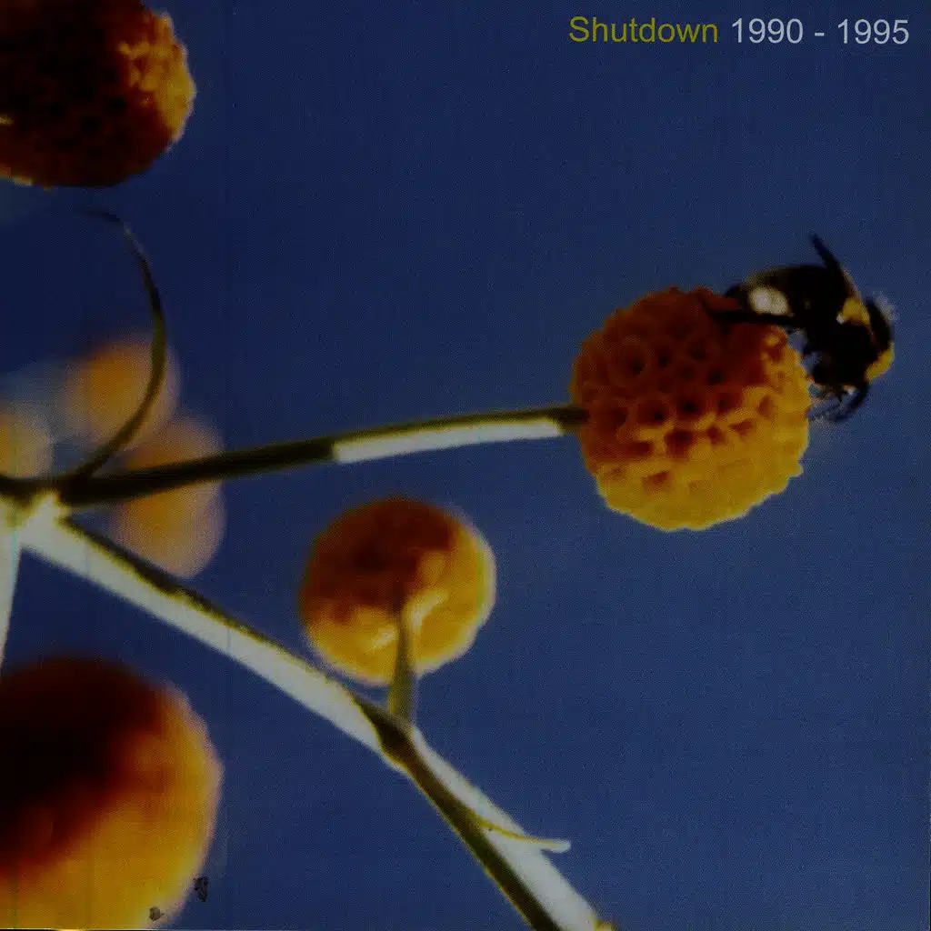 Shutdown 1990-1995