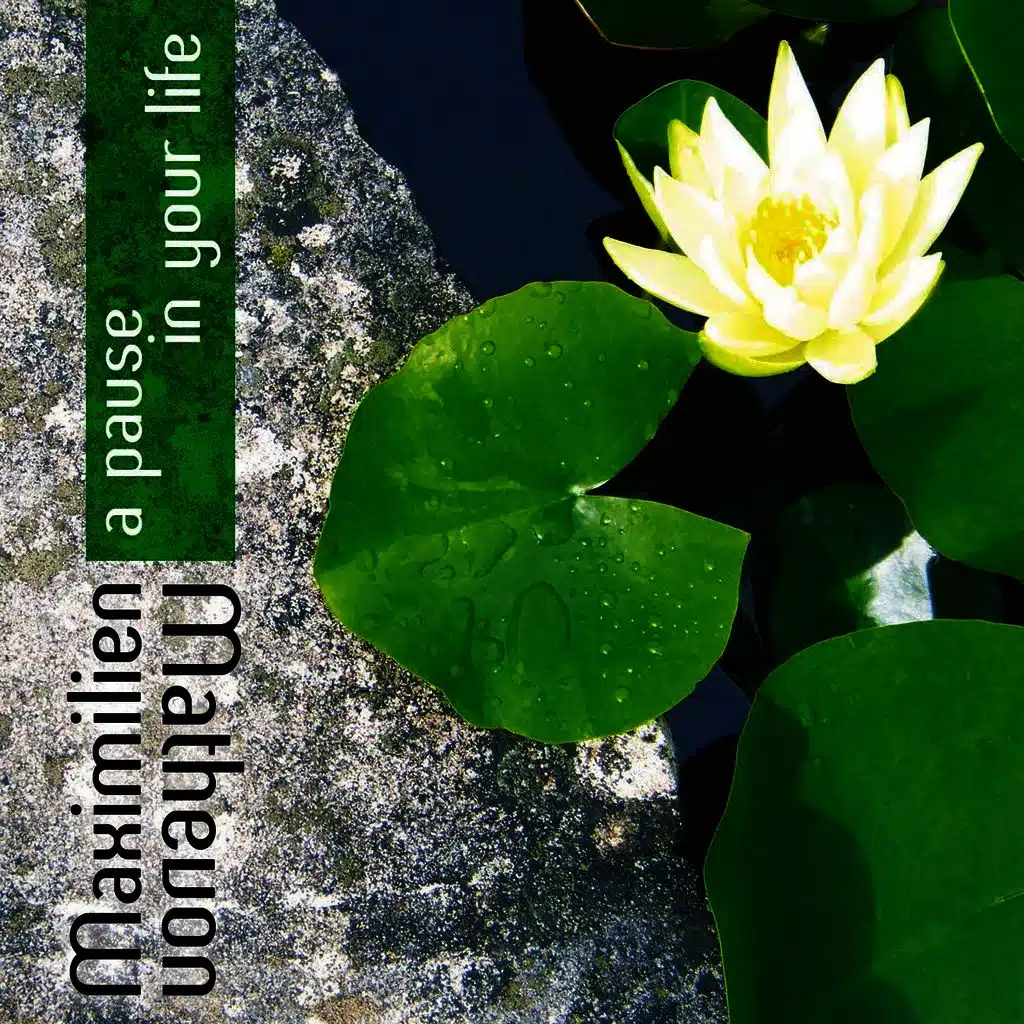 A Pause In Your Life