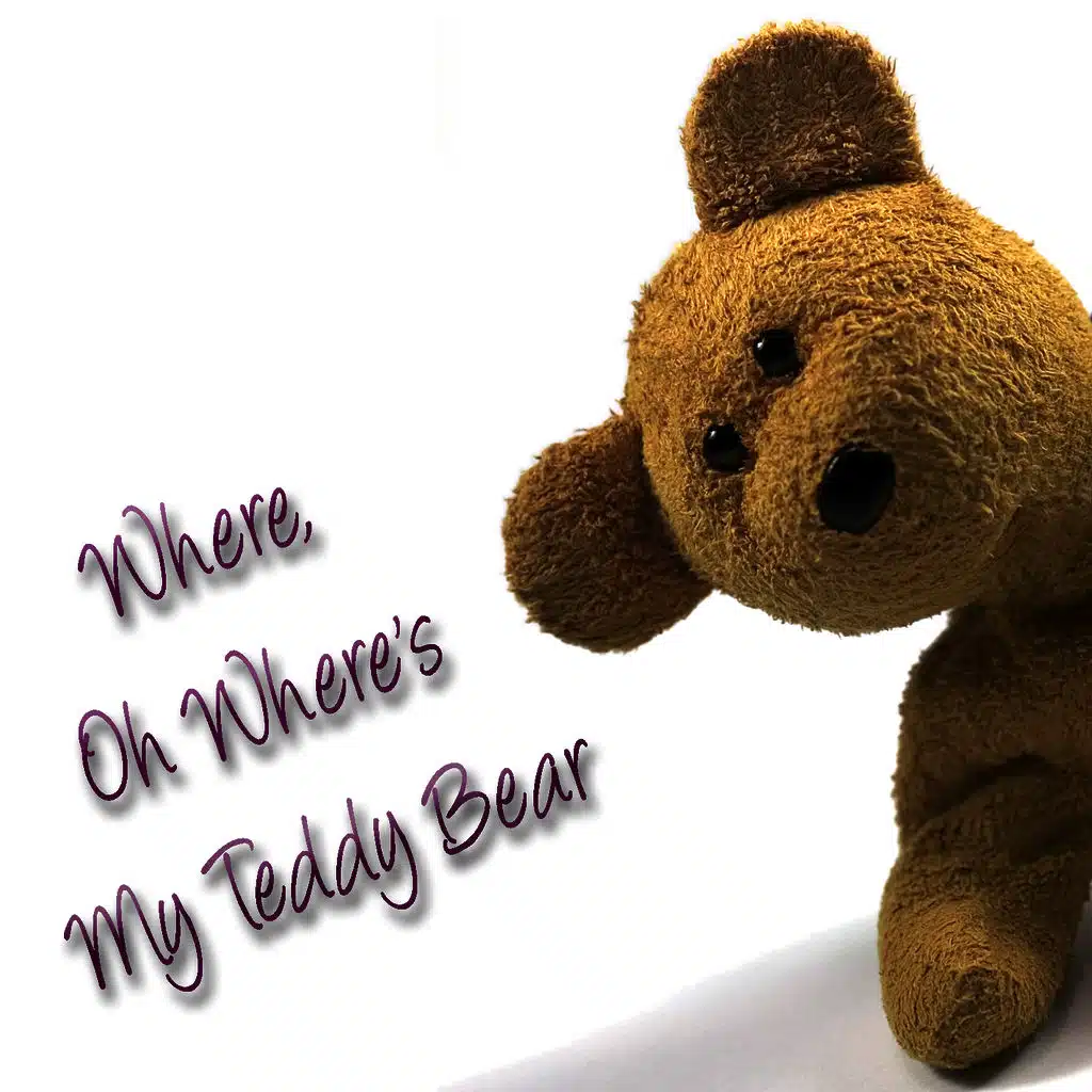 Where Oh Where's My Teddy Bear