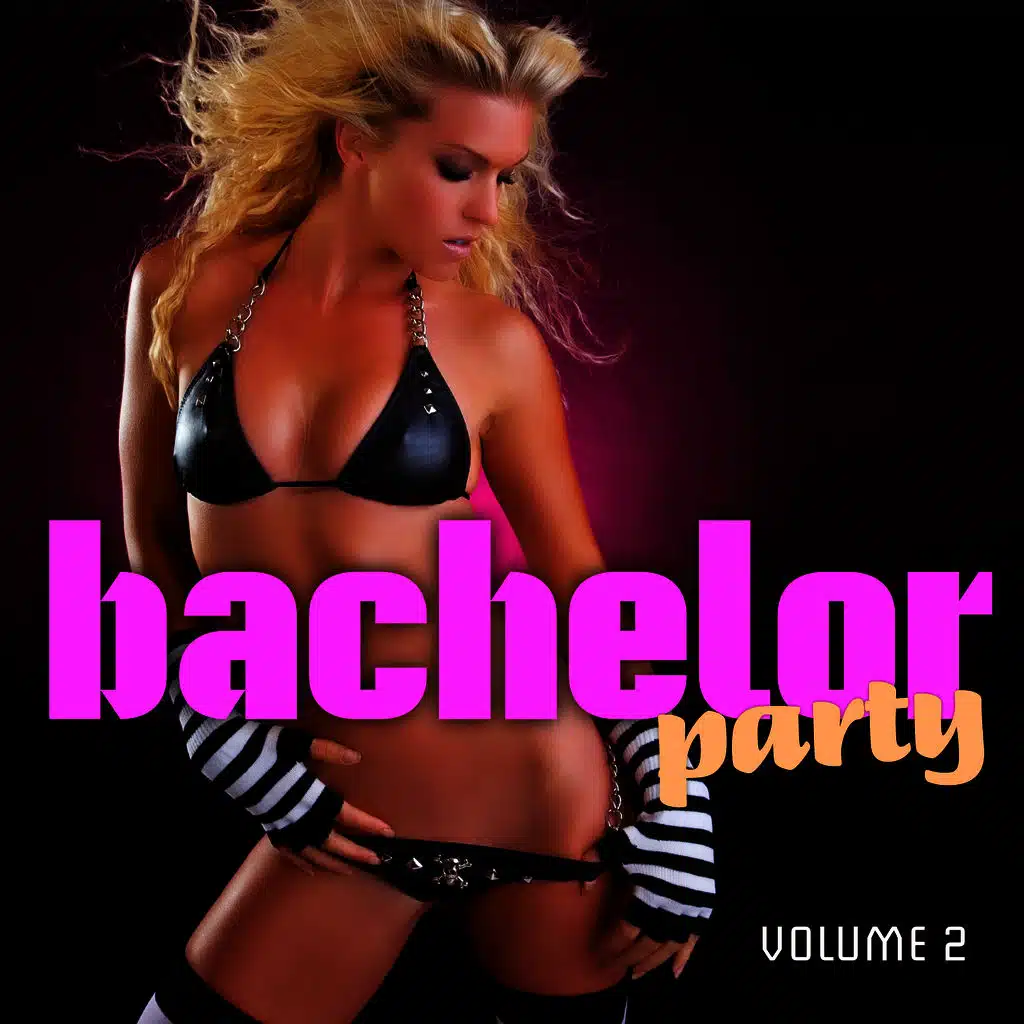The Best Bachelor Party Vol. 2