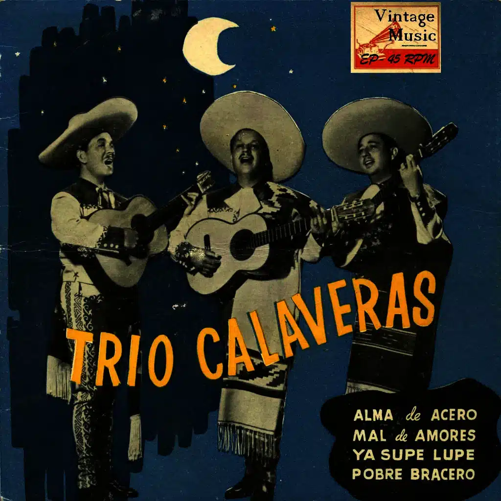 Pobre Bracero (Canción)