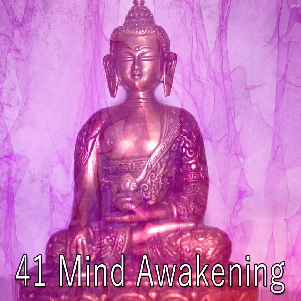 41 Mind Awakening