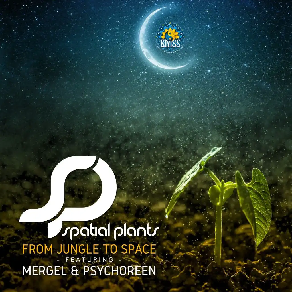 Spatial Plants, Mergel & Psychoreen