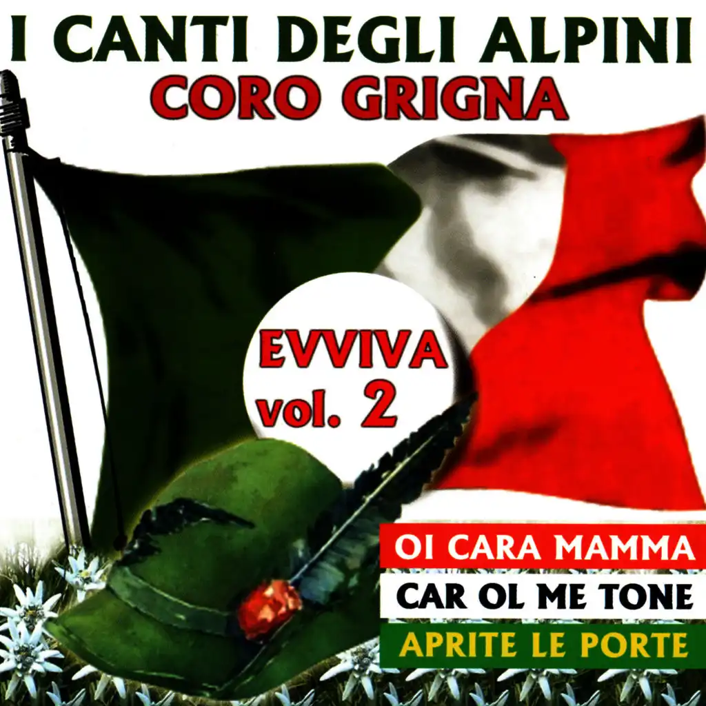 Coro Grigna