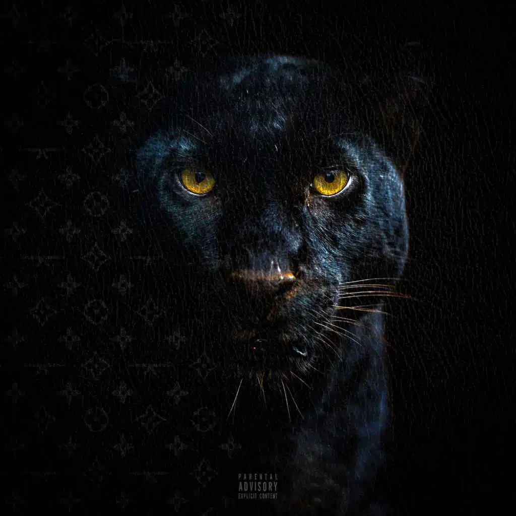 Stilen Lagt (feat. MellemFingaMuzik, Benny Jamz & Gilli)