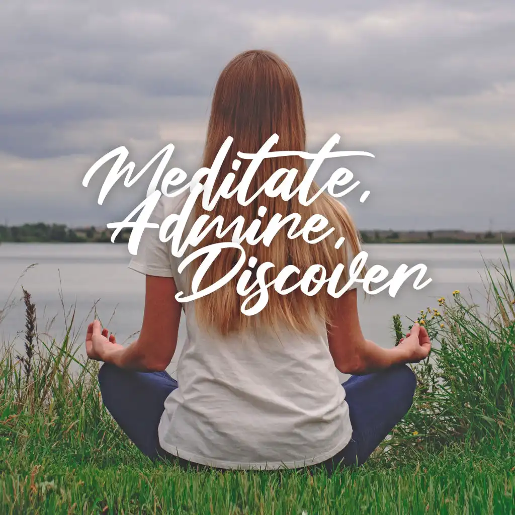 Meditate, Admire, Discover