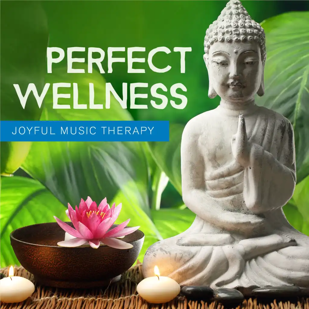 Perfect Wellness - Joyful Music Therapy