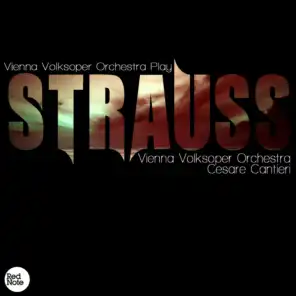 Strauss: Vienna Volksoper Orchestra Play