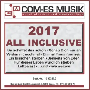 2017 All Inclusive