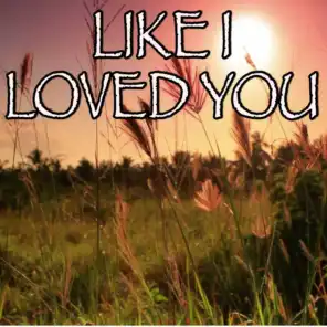 Like I Loved You - Tribute to Brett Young (Instrumental Version)