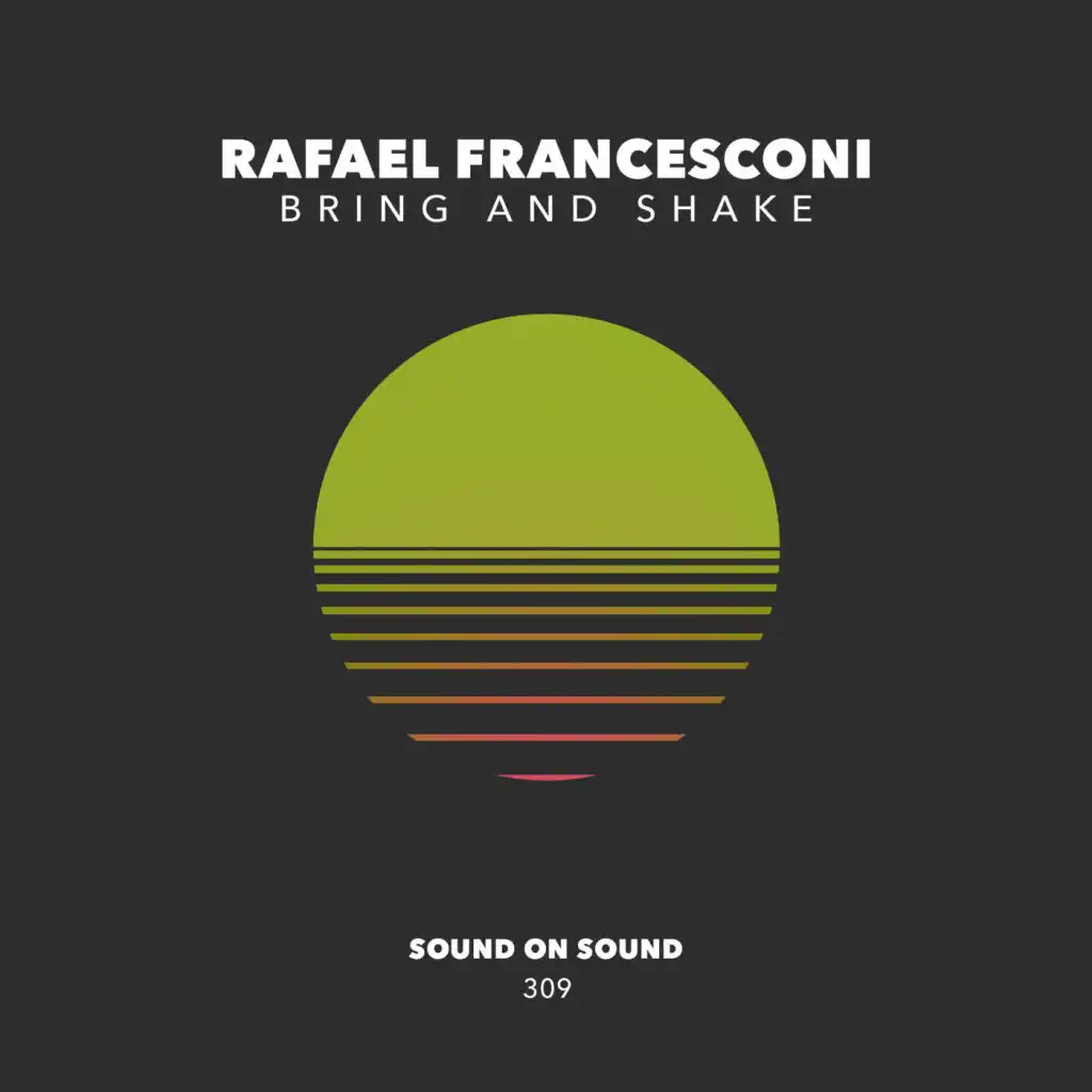 Bring & Shake (Luygi de Paula Remix)