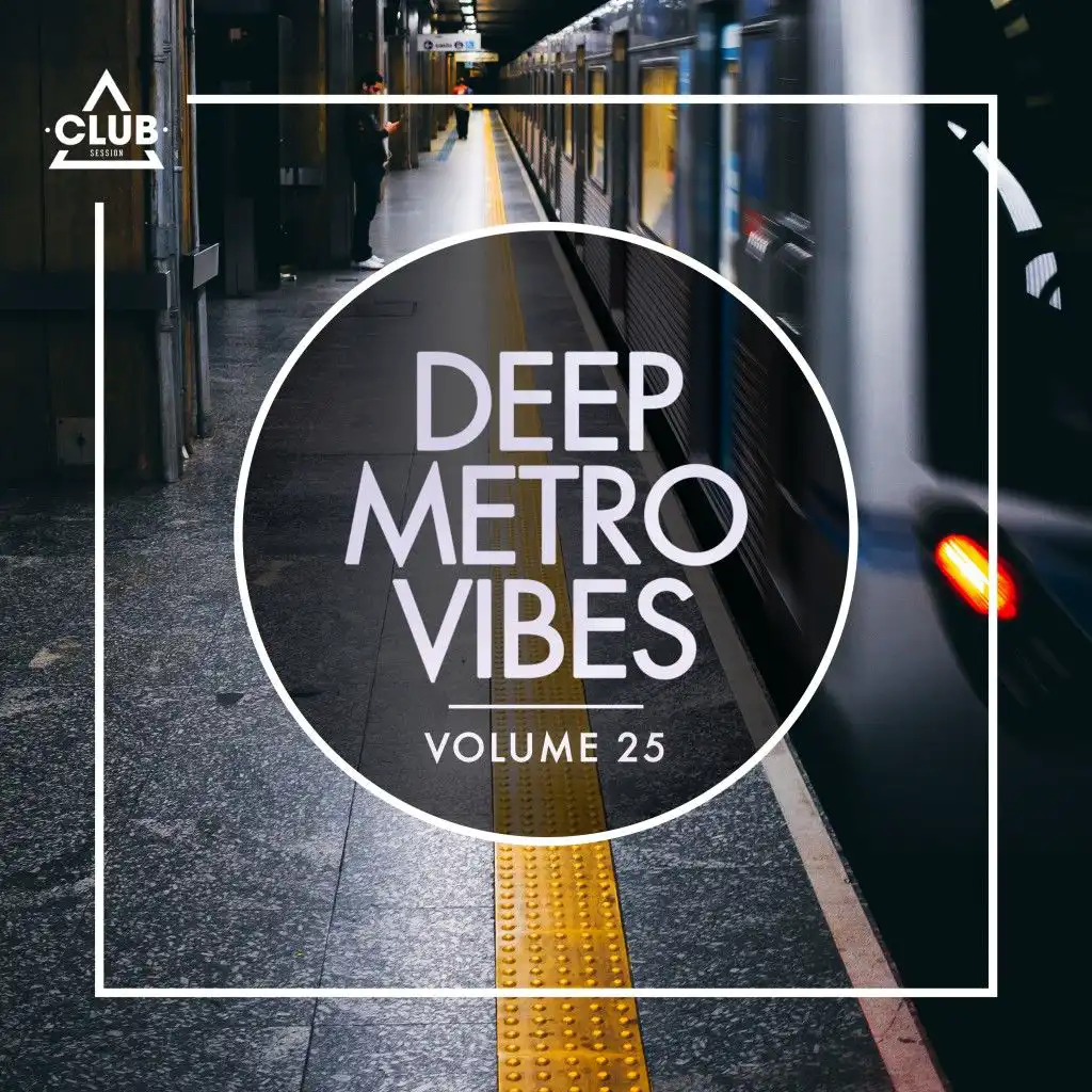 Deep Metro Vibes, Vol. 25