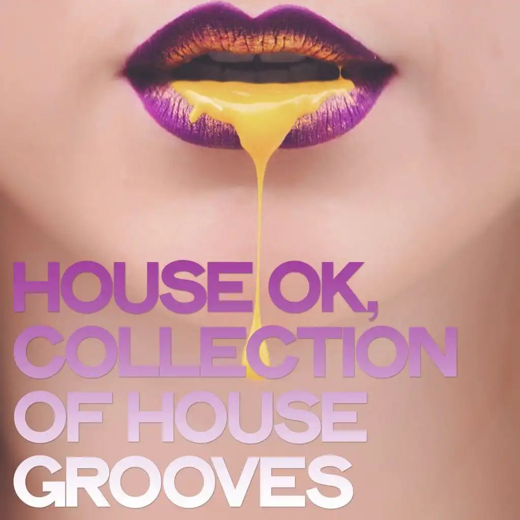 House Ok (Collection of House Grooves)