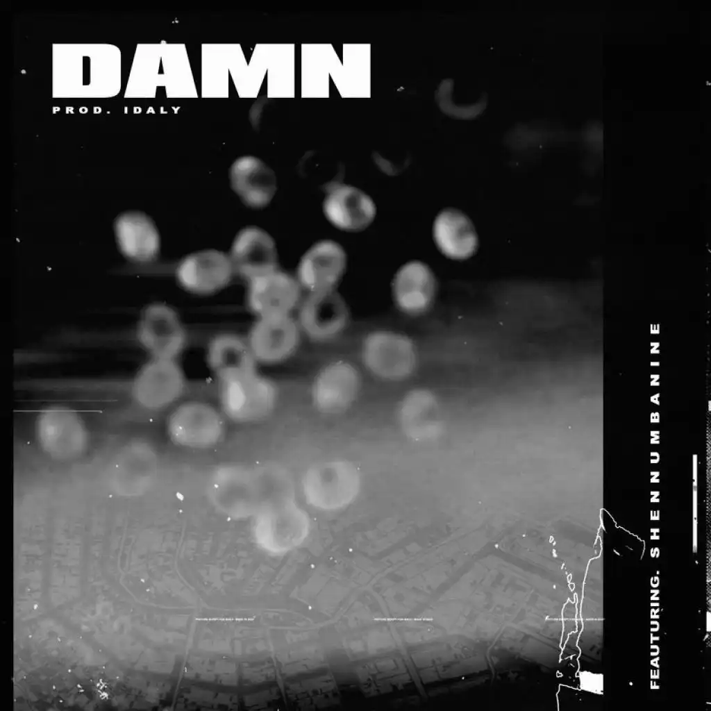 DAMN (Instrumental) [feat. Shennumbanine]