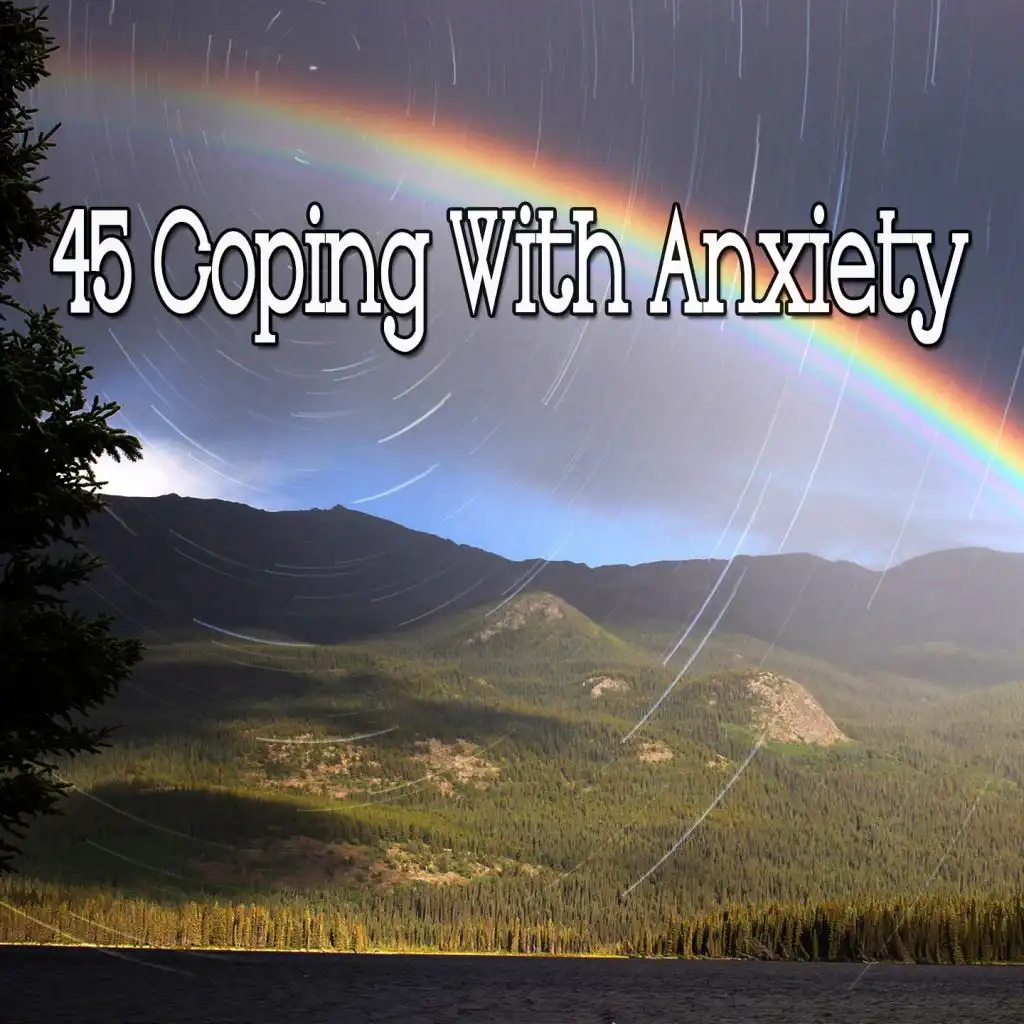 45 Coping with Anxiety